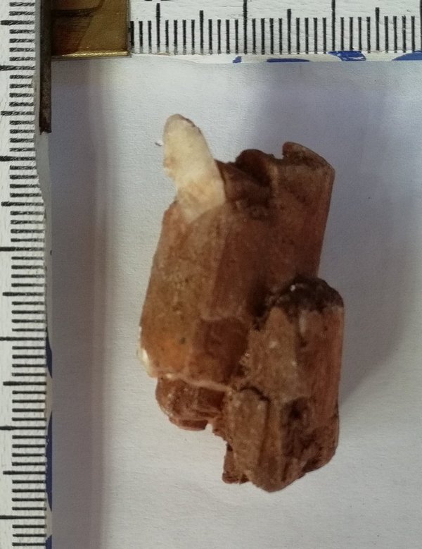 Albit, Albit Brasilien, Stufe ~ 38 mm, Albit Kristall